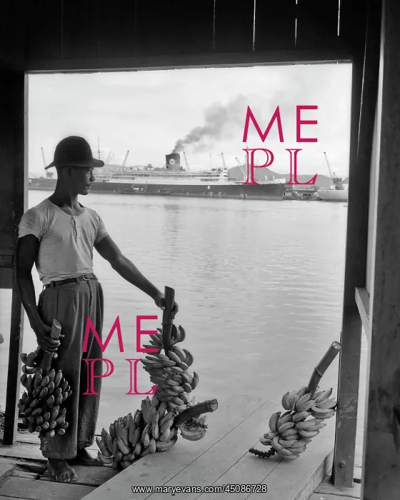 : Dock Worker Man Anonymous Silhouetted Standing : Dock Worker Man Anonymous Silhouetted Standing