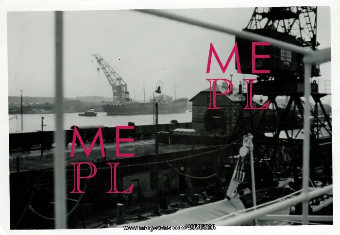 : The Docks, Southampton, Hampshire : The Docks, Southampton, Hampshire