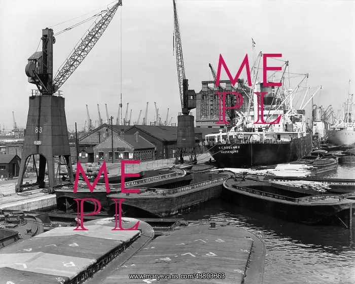 : Dockside scene with vessels and cranes, London : Dockside scene with vessels and cranes, London