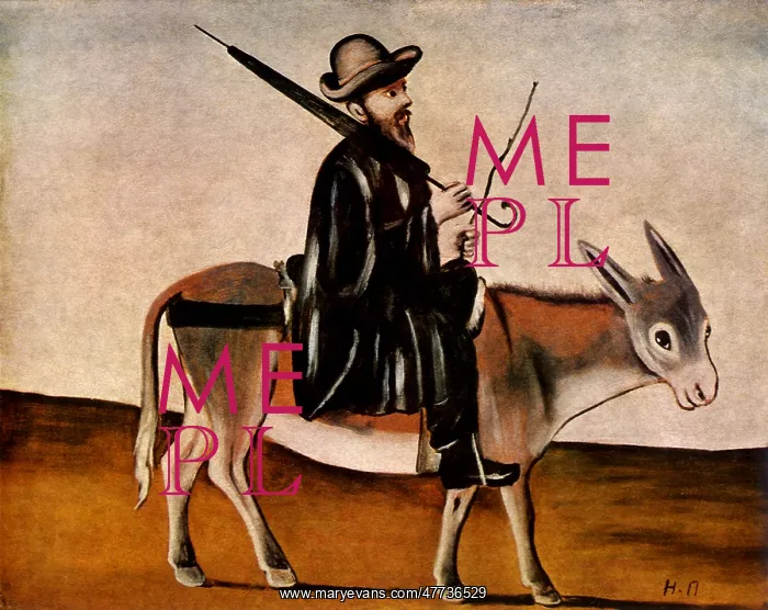  : Doctor on a Donkey