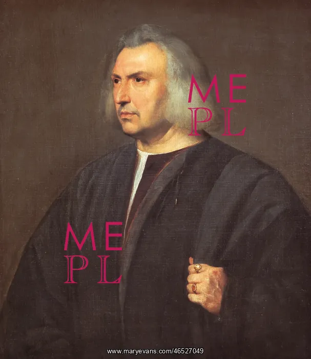 : The Doctor of Parma, by Titian : The Doctor of Parma, by Titian