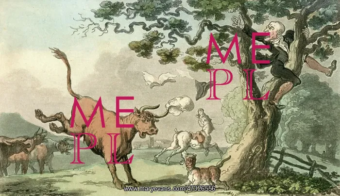 : Doctor Syntax pursued by a bull : Doctor Syntax pursued by a bull