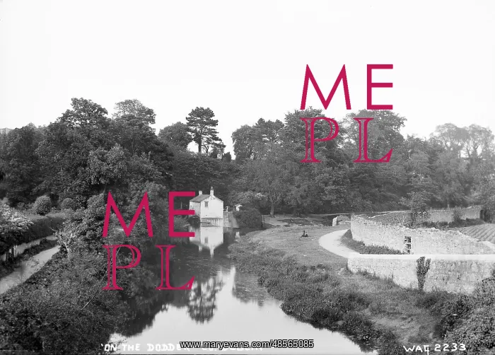 : On the Dodder, Co. Dublin : On the Dodder, Co. Dublin