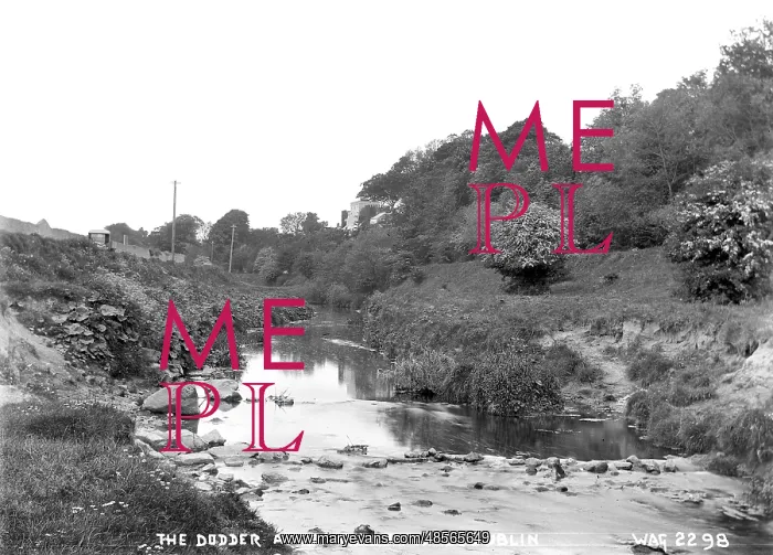 : The Dodder at Rathfarnham : The Dodder at Rathfarnham