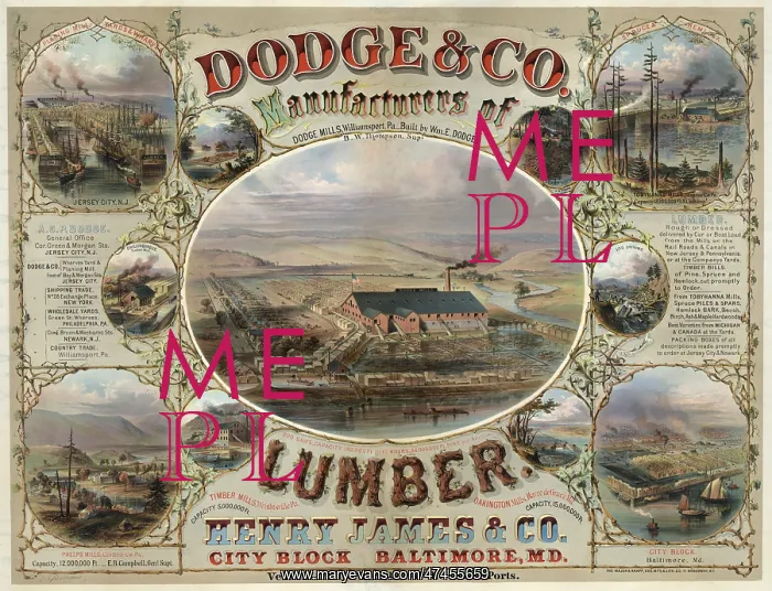: Dodge & Co. Manufacturers of lumber : Dodge & Co. Manufacturers of lumber