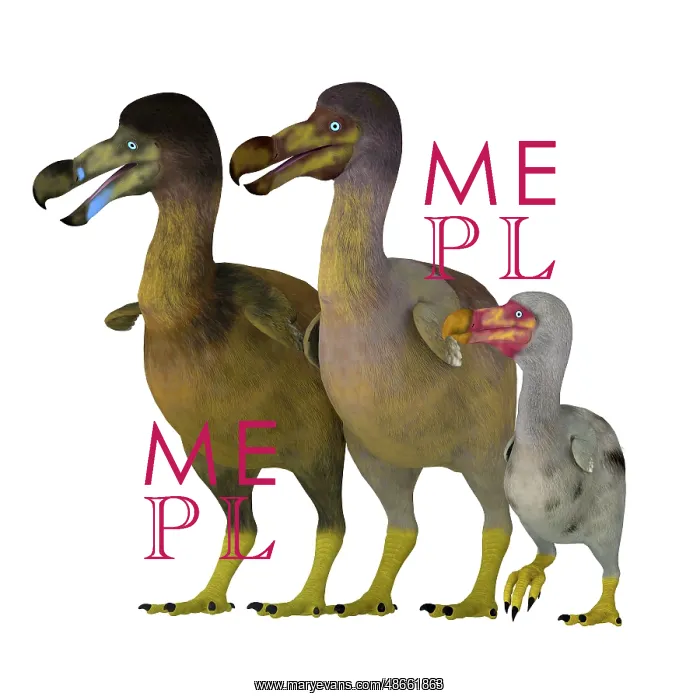 : Dodo bird family : Dodo bird family