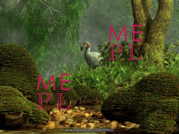 : A Dodo bird hides in a dense jungle near a stream : A Dodo bird hides in a dense jungle near a stream