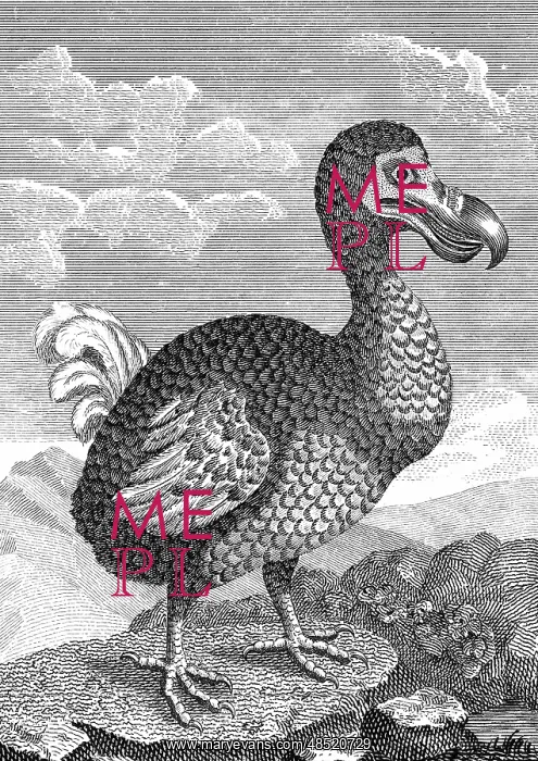 : Dodo - Raphus cucullatus, formerly Didus ineptus : Dodo - Raphus cucullatus, formerly Didus ineptus