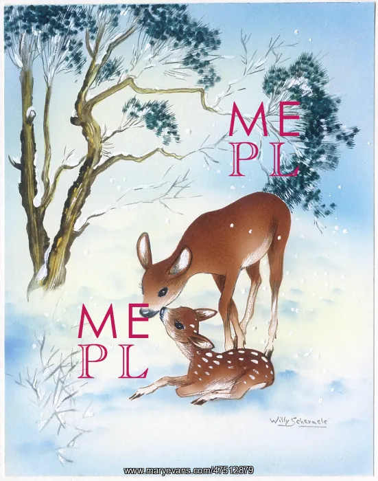 : Doe and Fawn in the snow : Doe and Fawn in the snow