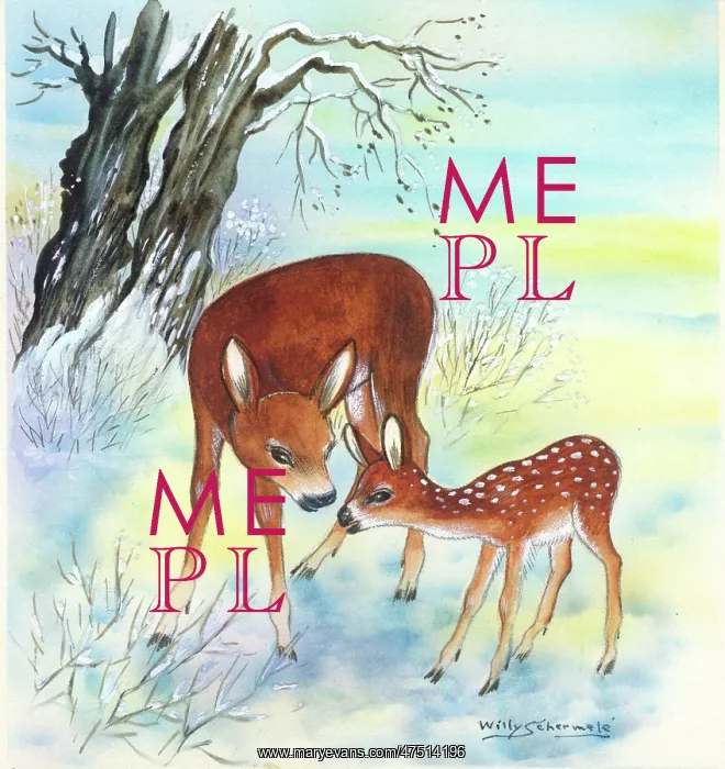  : Doe and Fawn in the snow