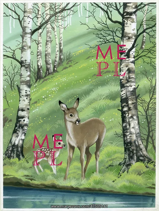  : Doe and fawn by the waterside