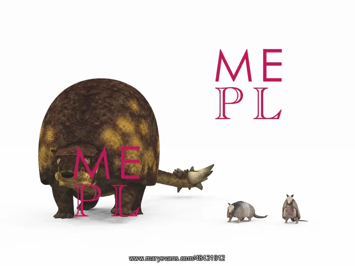 : A Doedicurus glyptodont compared to modern armadillos : A Doedicurus glyptodont compared to modern armadillos