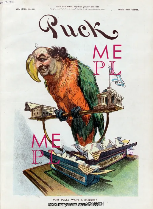 : Does Polly want a cracker? : Does Polly want a cracker?