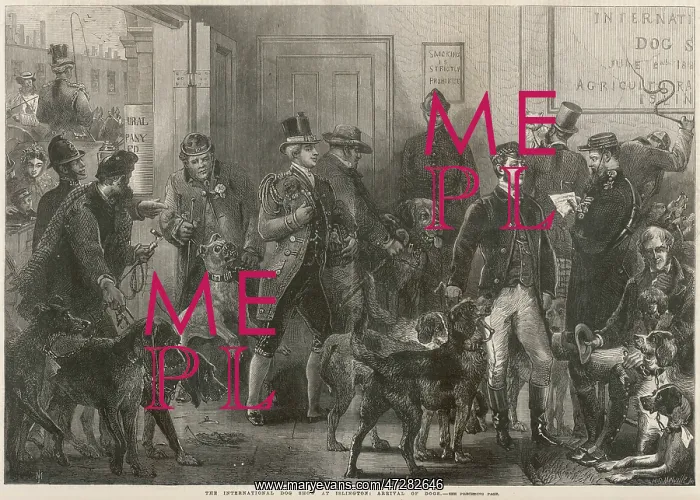 : DOG SHOW IN 1865 : DOG SHOW IN 1865