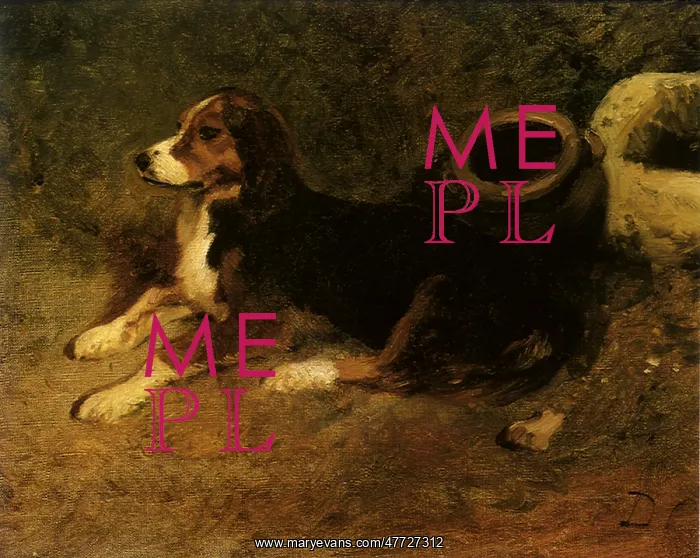  : Dog