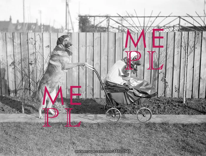: DOG BABY AND NURSE : DOG BABY AND NURSE