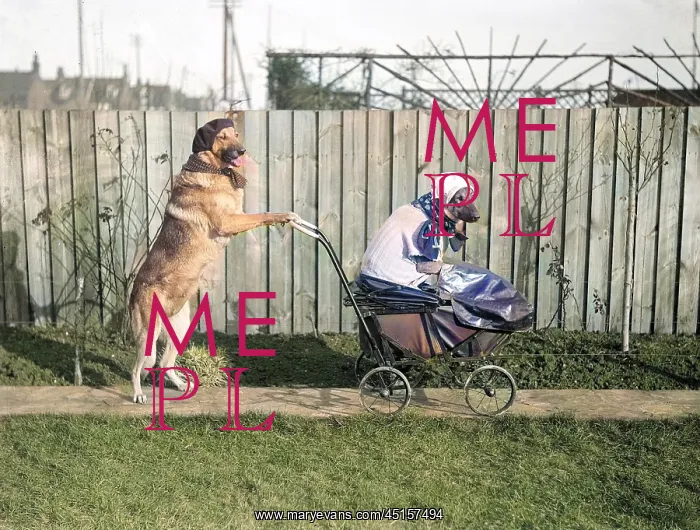 : DOG BABY AND NURSE : DOG BABY AND NURSE