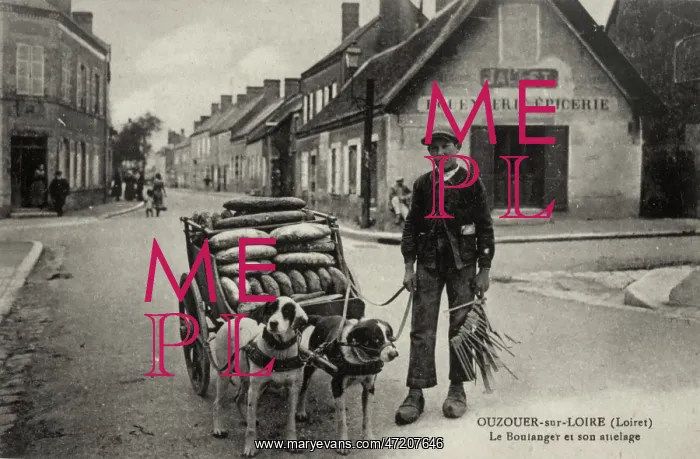: DOG & BAKER'S CART : DOG & BAKER'S CART
