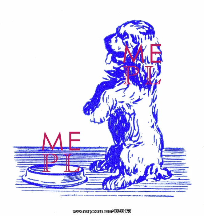  : Dog begging for meal - 1950s printer's block