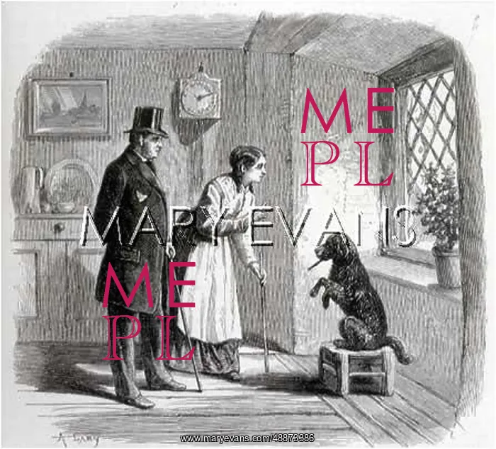 : DOG BEGGING ON STOOL : DOG BEGGING ON STOOL