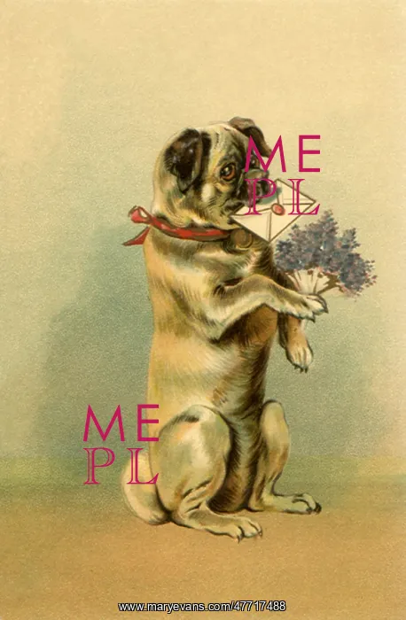  : Dog with Birthday Wishes