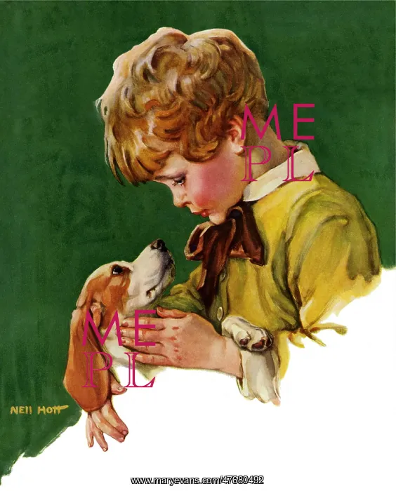  : Dog and Boy Console Each Other