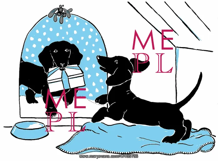 : Dog bringing parcel to dog in kennel : Dog bringing parcel to dog in kennel