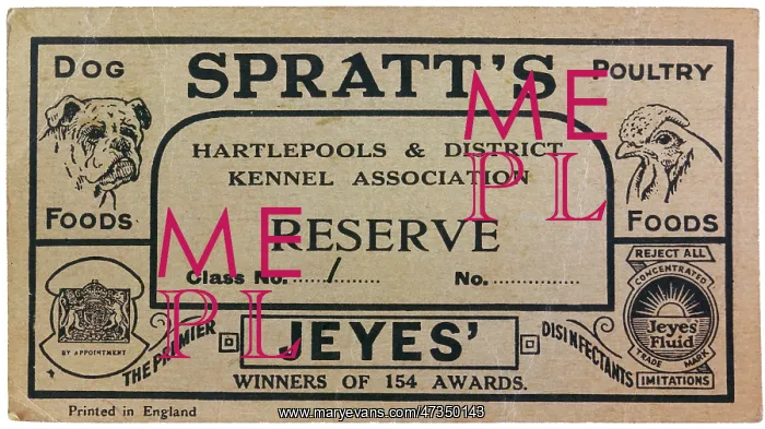 : DOG SHOW CARD RESERVE : DOG SHOW CARD RESERVE