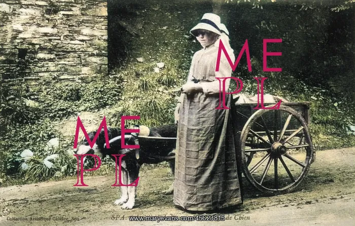 : DOG AND CART AND MAID : DOG AND CART AND MAID