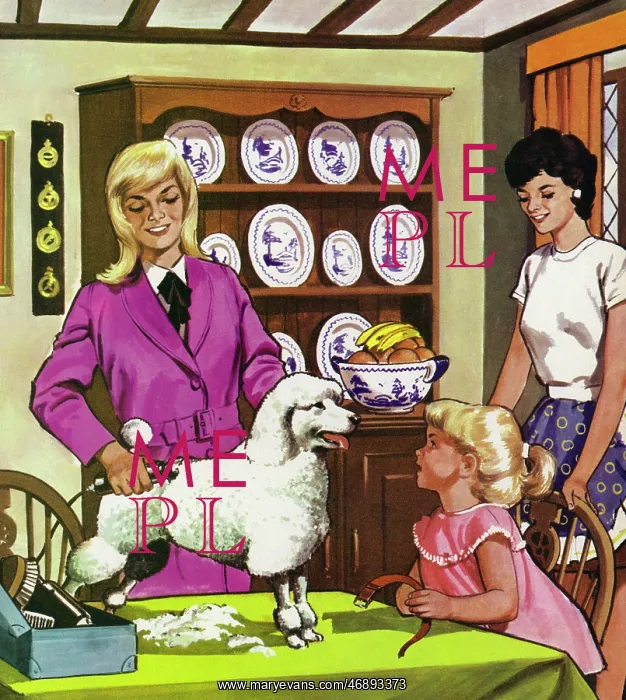 : The Dog Clipper : The Dog Clipper