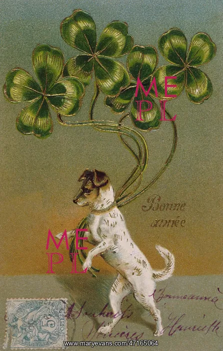  : DOG AND CLOVER