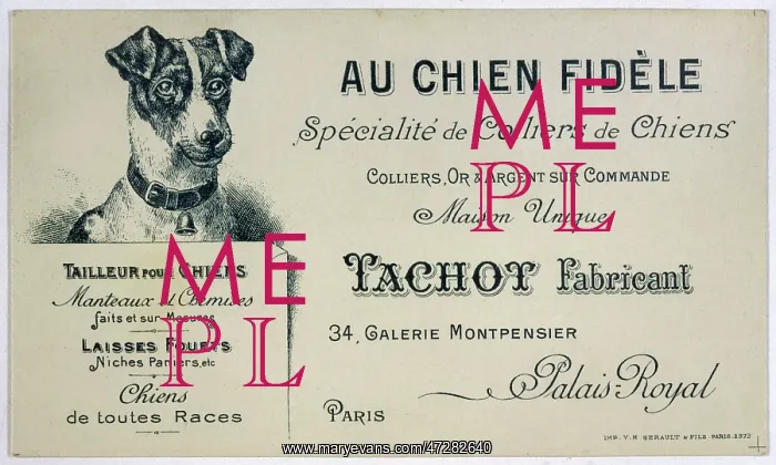 : DOG COLLAR MAKER : DOG COLLAR MAKER
