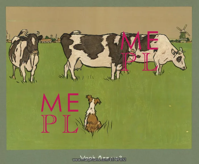 : Dog and Three Cows in Field : Dog and Three Cows in Field