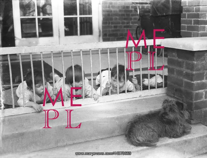 : DOG IN A CRECHE : DOG IN A CRECHE