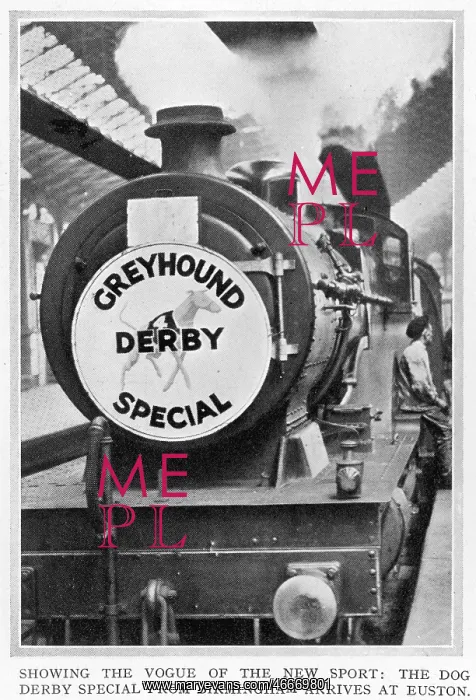 : The Dog Derby special train from Birmingham : The Dog Derby special train from Birmingham
