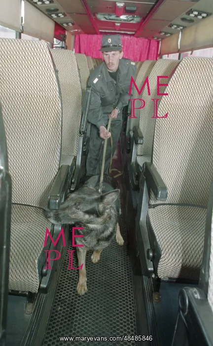 : Dog-detective : Dog-detective