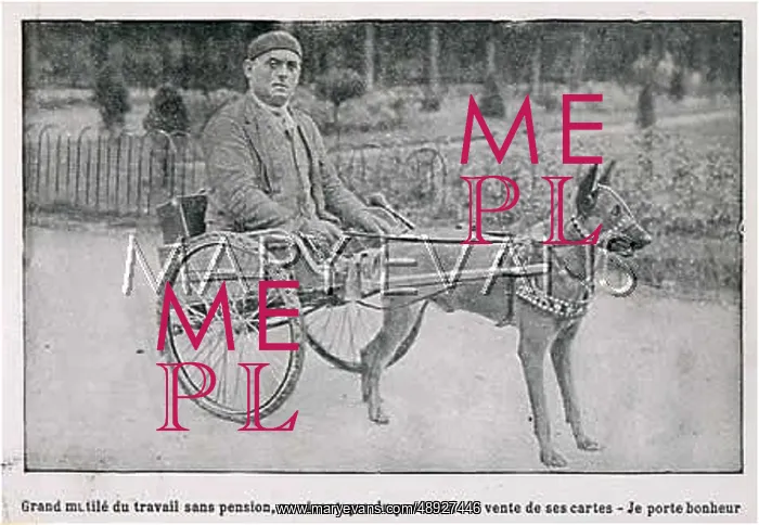 : DOG AND DISABLED MAN : DOG AND DISABLED MAN
