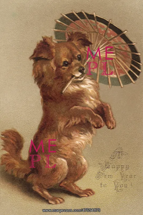  : Dog Does Trick