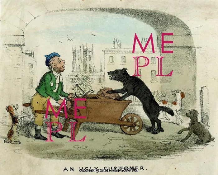 : DOG AND DOGS MEAT MAN