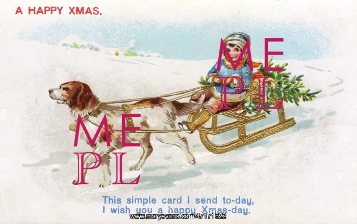  : Dog-Drawn Sleigh