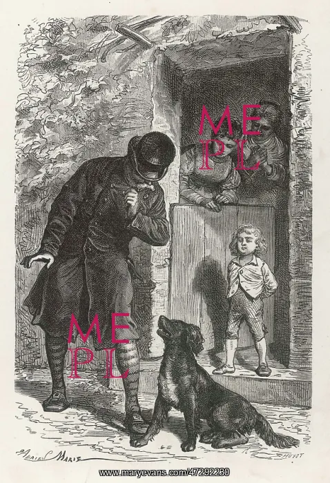 : DOG FINDS WAY HOME : DOG FINDS WAY HOME