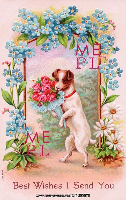  : Dog with flowers on a greetings postcard