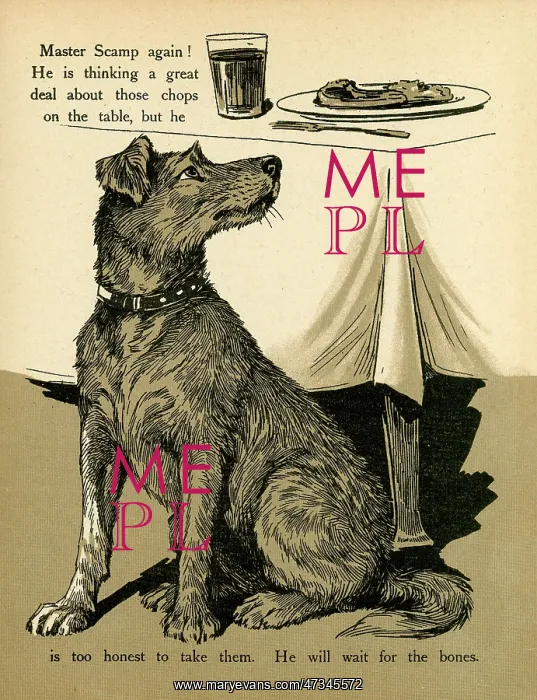 : DOG AND FOOD SMELLS : DOG AND FOOD SMELLS