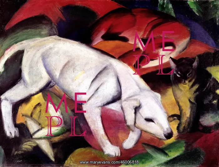 : Dog, fox and cat : Dog, fox and cat