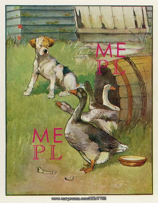 : DOG AND GEESE : DOG AND GEESE