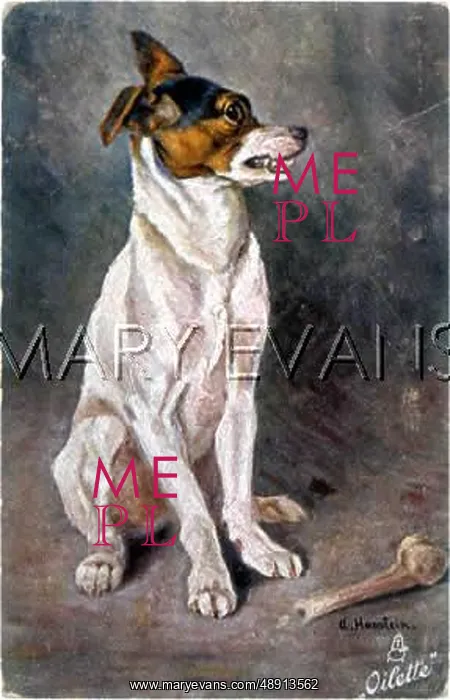 : DOG GUARDING BONE 1911 : DOG GUARDING BONE 1911