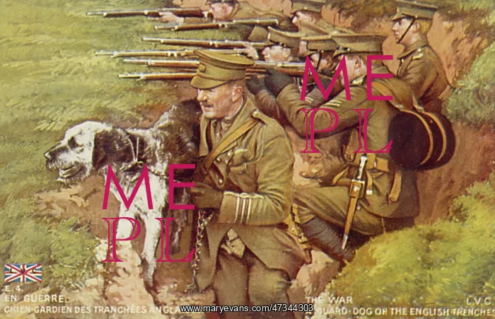 : DOG GUARDS TRENCHES : DOG GUARDS TRENCHES
