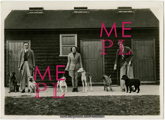 : Three dog handlers with six dogs in front of stables : Three dog handlers with six dogs in front of stables