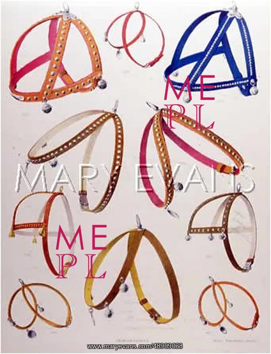  : DOG HARNESSES