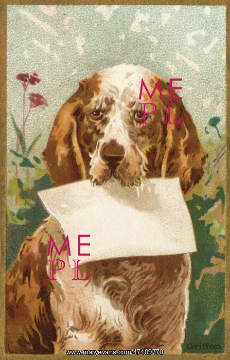 : Dog holding blank paper : Dog holding blank paper